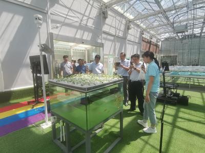 科技开发处组织参观南京农业智慧园区 探索水果种植的数字化创新