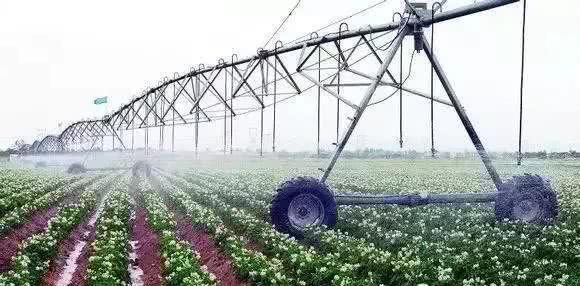 以色列农业技术开发 如何实现'一分耕耘，十分收获'